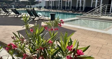 Balatoni csal�di vak�ci� (1 �jt�l)