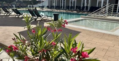 Balatoni csal�di vak�ci� (1 �jt�l)