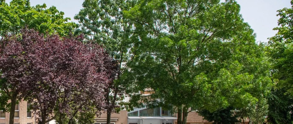 CE Plaza Hotel Sifok