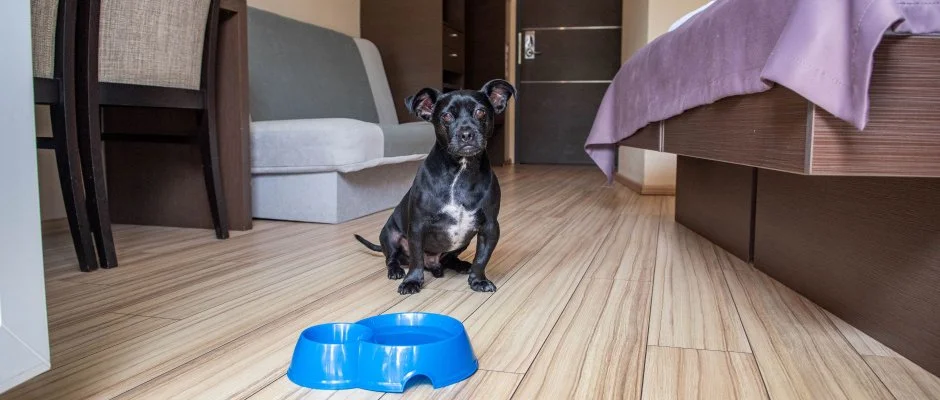 CE Plaza Hotel Sifok