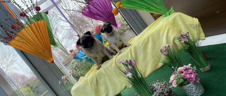 CE Plaza Hotel Sifok