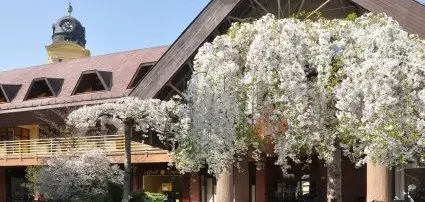 Centrum Hotel Debrecen - Ajnlatok a hsvti hossz htvgre