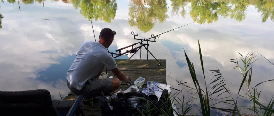 Csodaszarvas Tjpark Rbahdvg