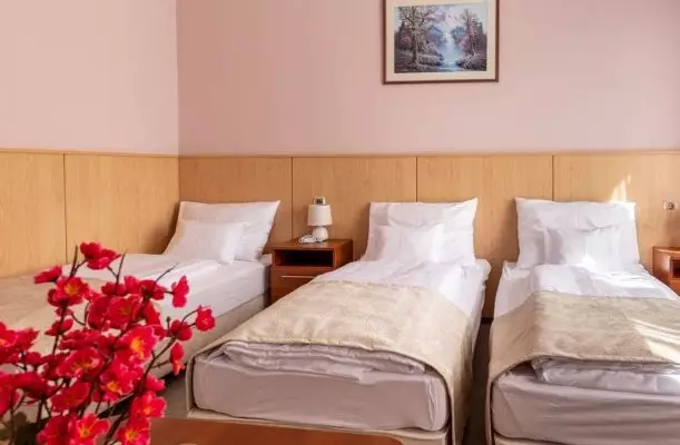 D-Hotel Gyula D-Hotel Gyula