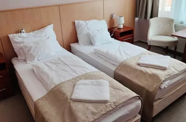 D-Hotel Gyula D-Hotel Gyula