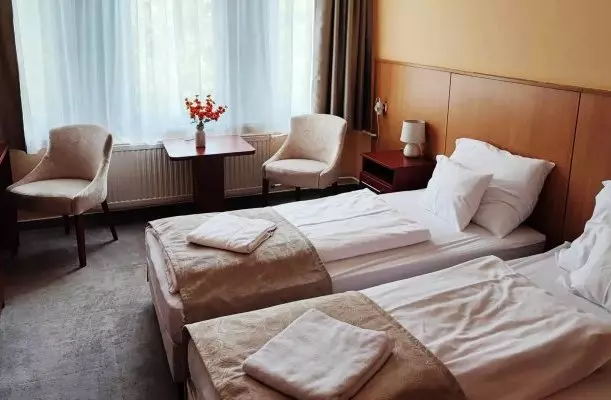D-Hotel Gyula D-Hotel Gyula