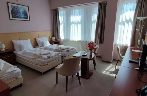 D-Hotel Gyula D-Hotel Gyula