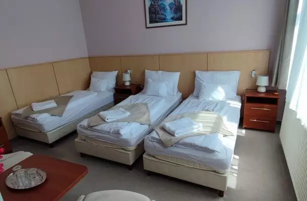 D-Hotel Gyula D-Hotel Gyula