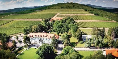 gr�f Degenfeld Kast�lysz�ll� Tarcal