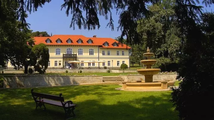 grf Degenfeld Kastlyszll Tarcal