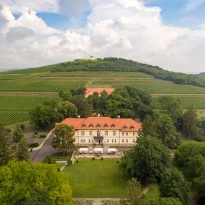 gróf Degenfeld Kastélyszálló Tarcal - Napi árak félpanziós ellátással (1 éjtől)