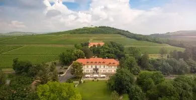 Napi rak flpanzis elltssal (1 jtl)