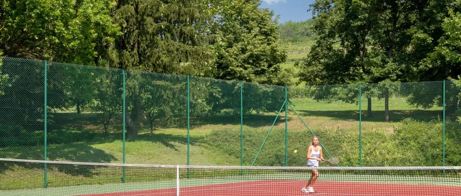 grf Degenfeld Kastlyszll Tarcal