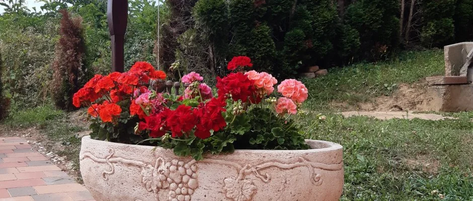 Difa Vendghz Kehidakustny