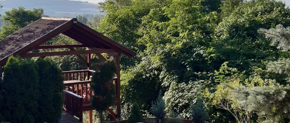 Difa Vendghz Kehidakustny