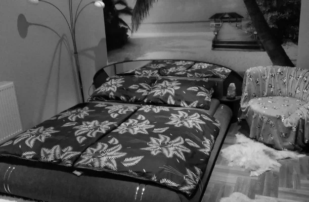 DominikaGarden Apartman Budapest DominikaGarden Apartman Budapest