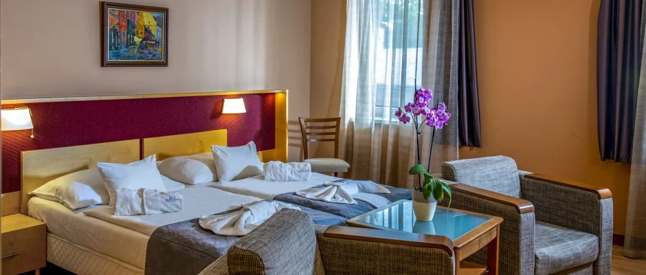 Drva Hotel Thermal Resort Harkny