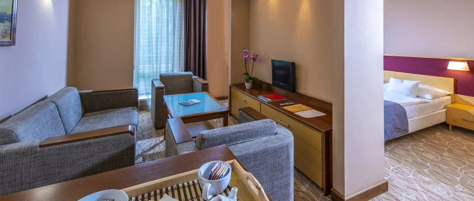 Drva Hotel Thermal Resort Harkny