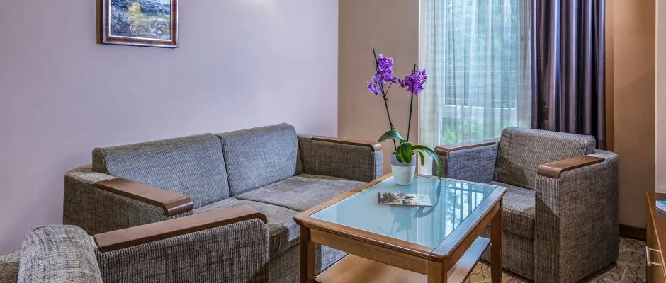 Drva Hotel Thermal Resort Harkny