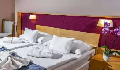 Dráva Hotel Thermal Resort Harkány