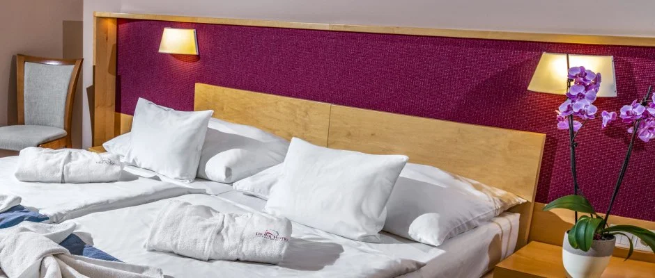 Drva Hotel Thermal Resort Harkny