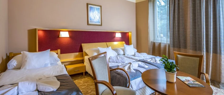 Drva Hotel Thermal Resort Harkny