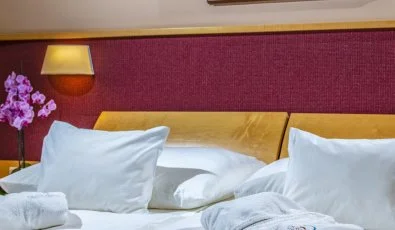 Dráva Hotel Thermal Resort Harkány