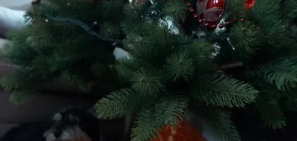 Dream Horse Apartman Cserkeszl - Wellness csomagok karcsonyra