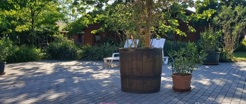 Dream Horse Apartman Cserkeszl