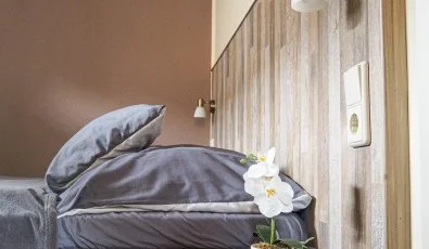 Dream Horse Apartman Cserkeszl