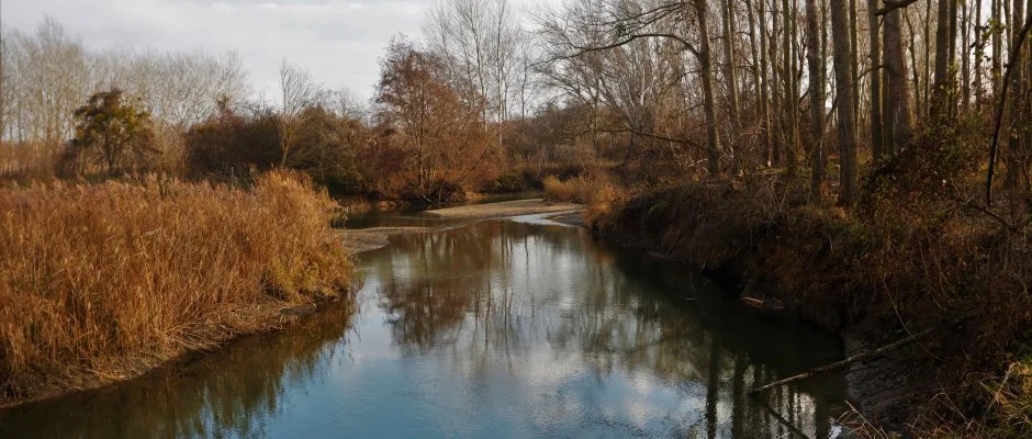 Duna-Beach Apartman Kimle