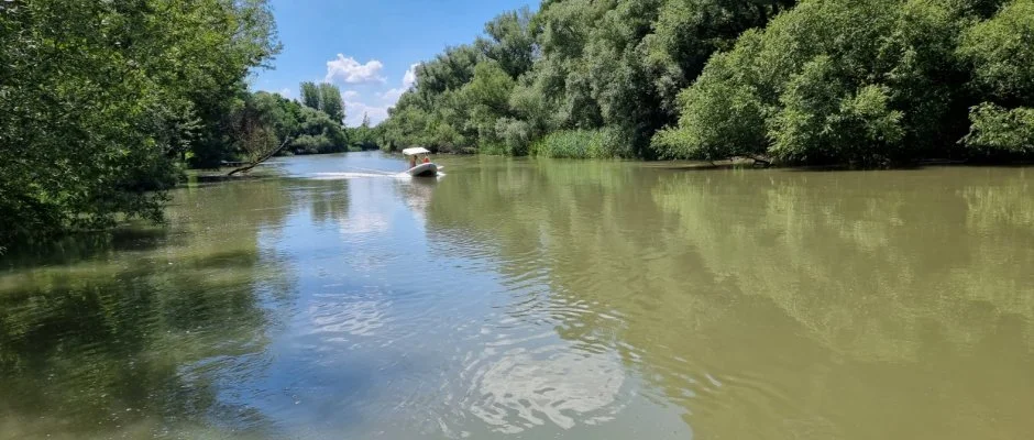 Duna-Beach Apartman Kimle