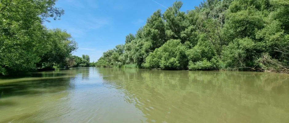 Duna-Beach Apartman Kimle