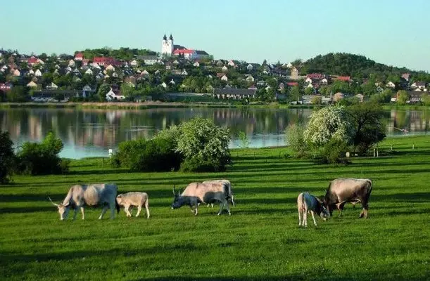 Echo Residence Tihany