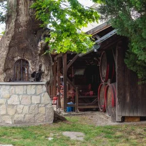 Edvy Malom Fogadó és Barokk Udvarház Pápa - Pünkösd (min. 2 éj)