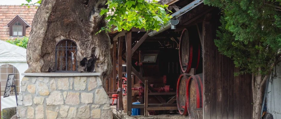 Edvy Malom Fogadó Pápa