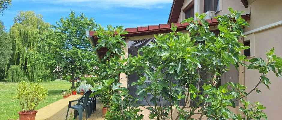 gerliget Vendghz Harkny