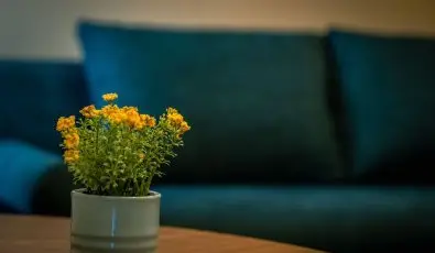 Eleven Business & Sport Hotel Jszrokszlls