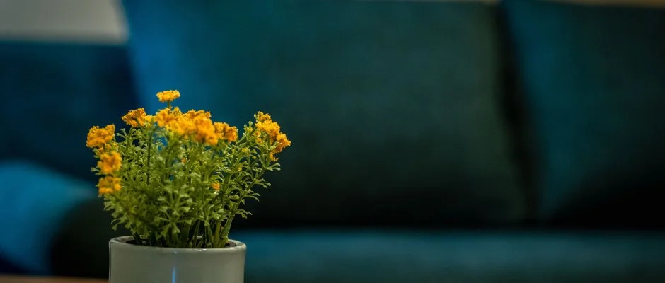 Eleven Business & Sport Hotel Jszrokszlls