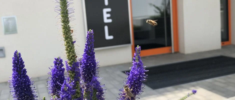 Eleven Business & Sport Hotel Jszrokszlls