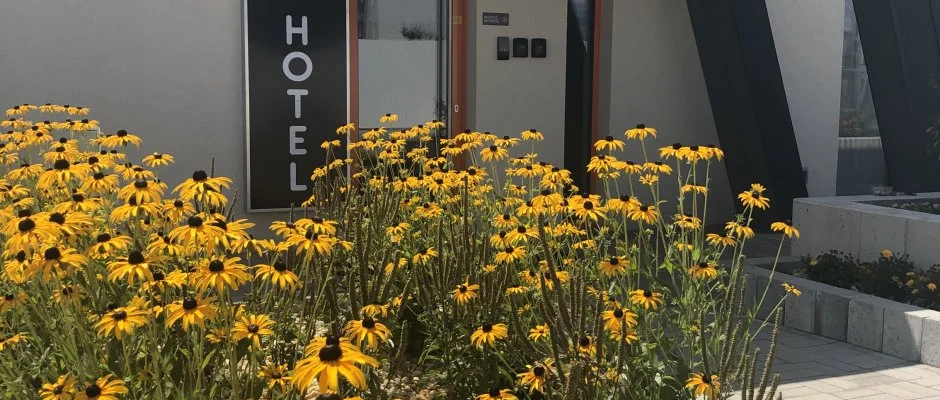 Eleven Business & Sport Hotel Jszrokszlls