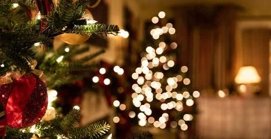 Angyali karcsony (min. 2 j)