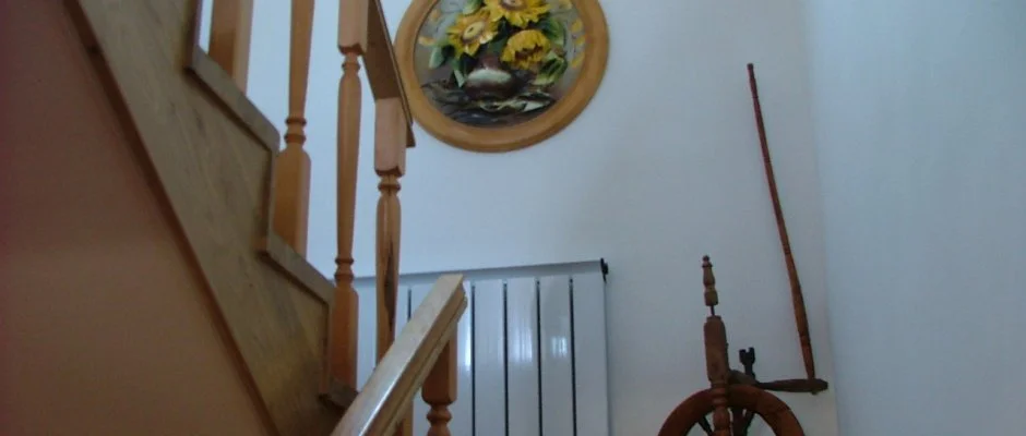 Szarvas Panzi Erdbnye