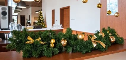 Erzs�bet Nagy Sz�lloda Paks - Csomagok a kar�csonyi hossz� h�tv�g�re