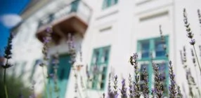 Erzs�bet Nagy Sz�lloda - Tavaszi wellness