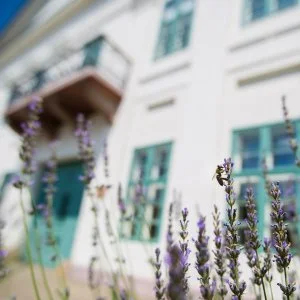  Paks - Tavaszi wellness (min. 2 éj)