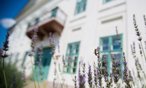 Erzsébet Nagy Szálloda Paks - Tavaszi wellness