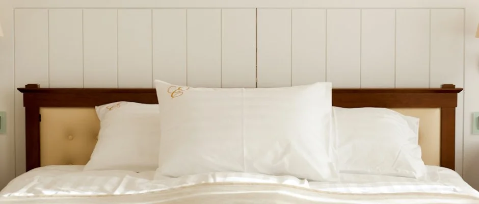 Erzs�bet Nagy Sz�lloda Paks