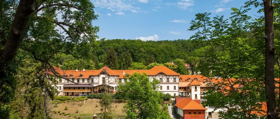 Erzsbet Park Hotel Pardfrd