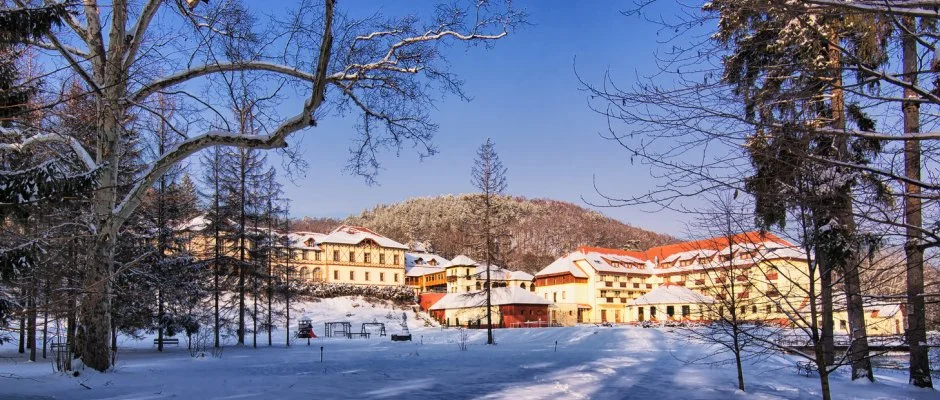 Erzsbet Park Hotel Pardfrd